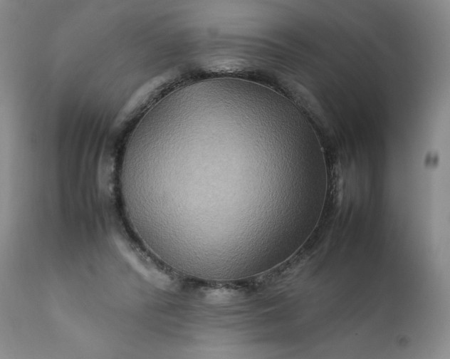 X0000112210400200908211523