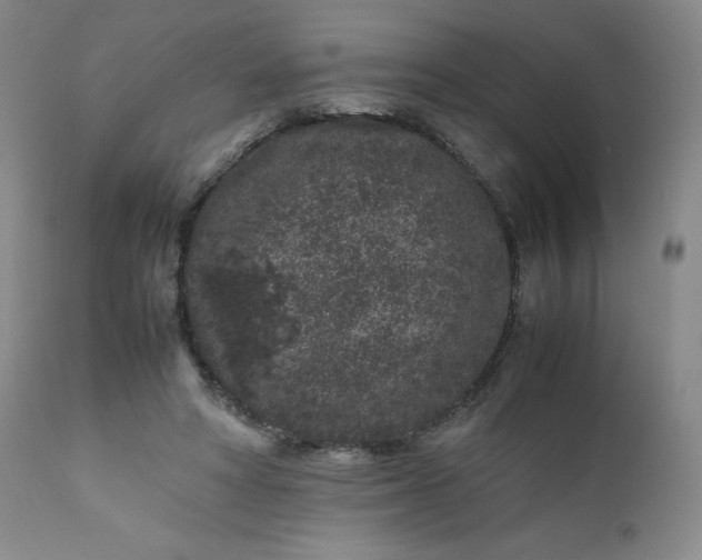 X0000112210402200908211523