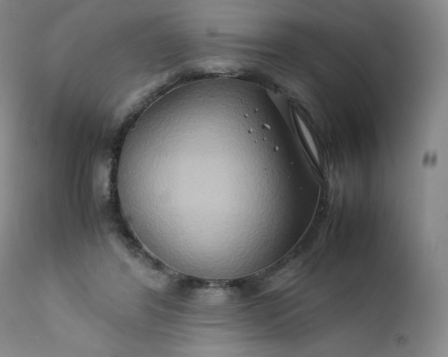 X0000112210404200908211523