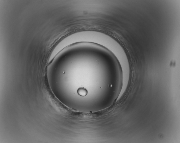 X0000112210405200908211523