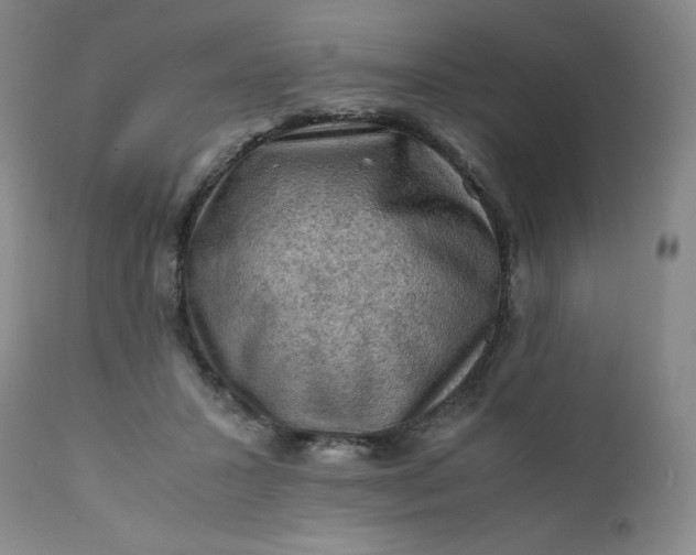 X0000112210407200908211523