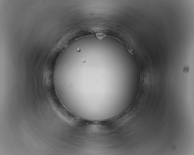 X0000112210408200908211523