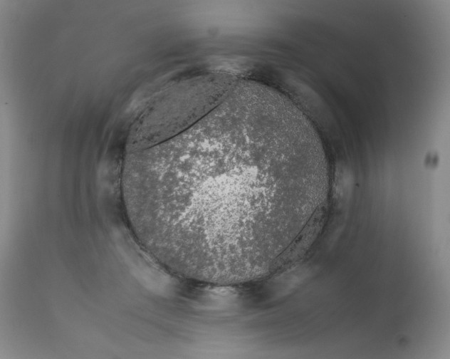 X0000112210409200908211523