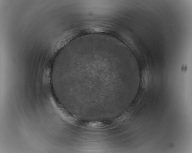 X0000112210410200908211523