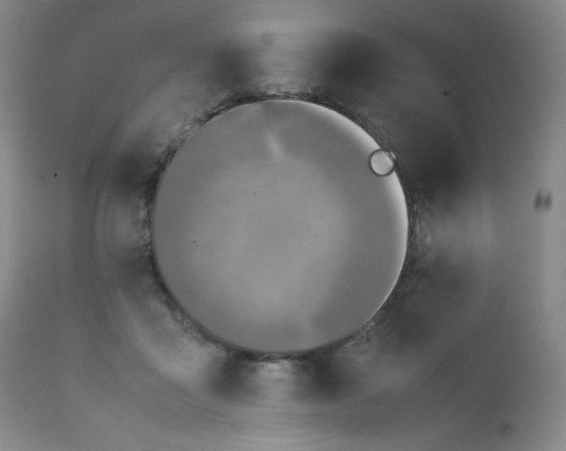 X0000112210411200908211523