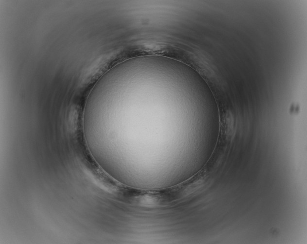 X0000112210412200908211523