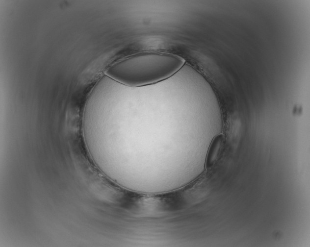 X0000112210413200908211523