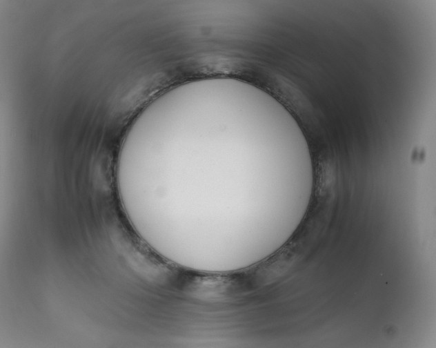 X0000112210414200908211523