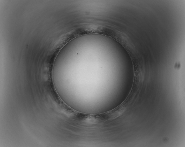 X0000112210416200908211523