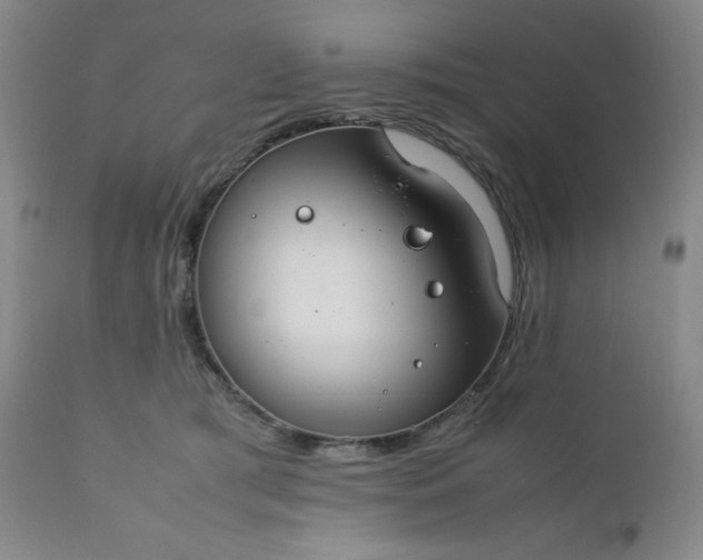 X0000112210417200908211523