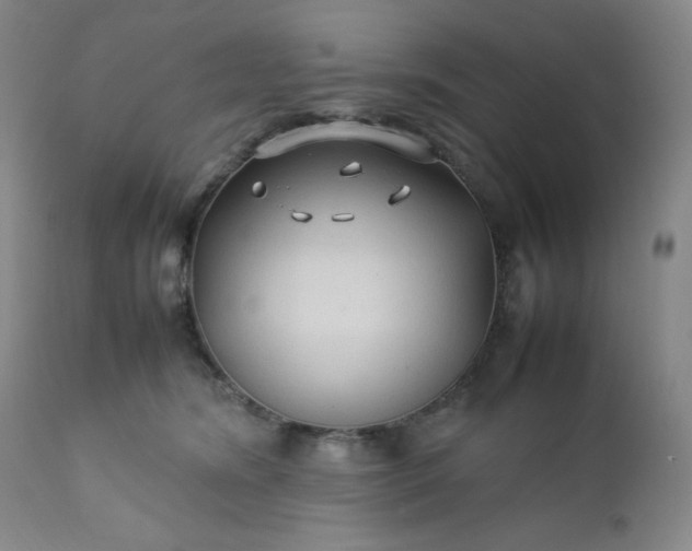 X0000112210420200908211523