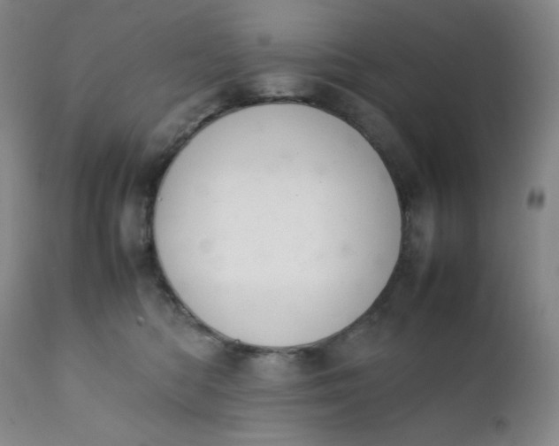 X0000112210422200908211523