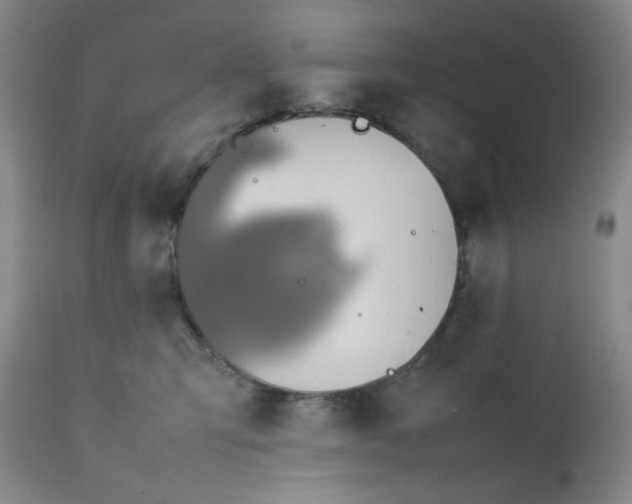 X0000112210423200908211523