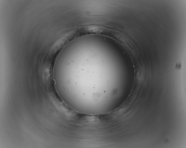 X0000112210424200908211523