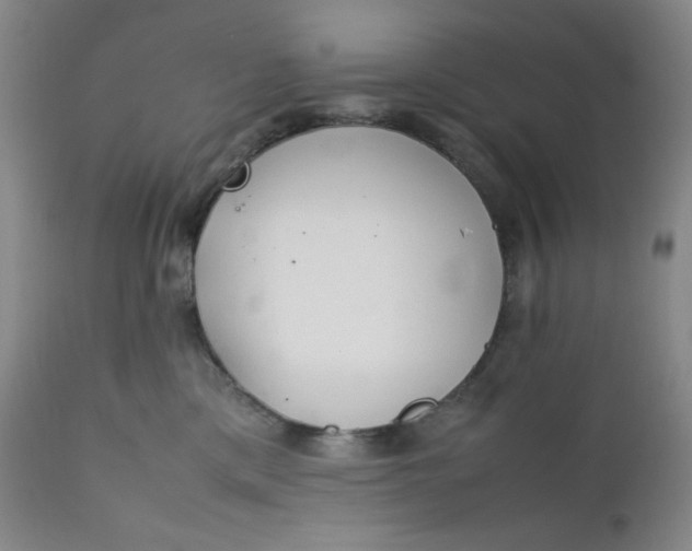 X0000112210425200908211523