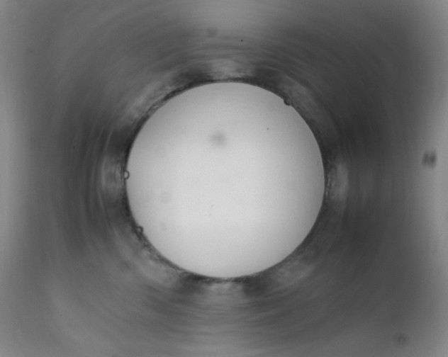 X0000112210426200908211523