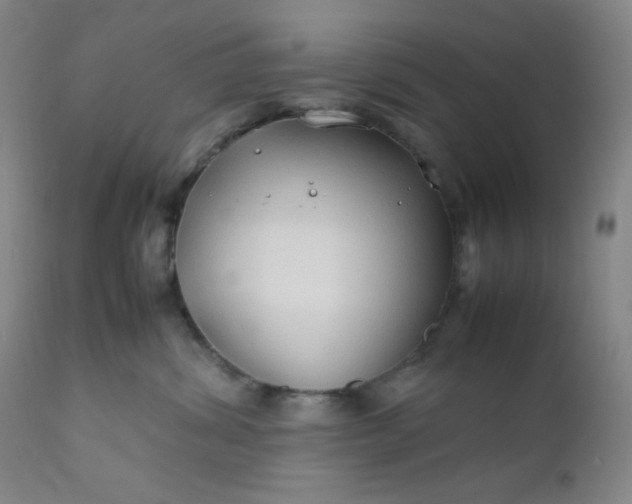 X0000112210428200908211523