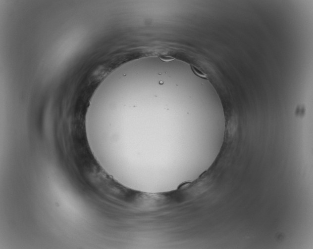 X0000112210429200908211523