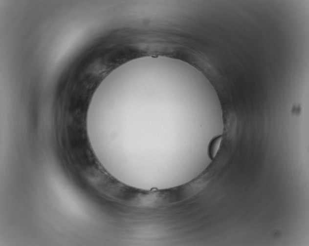 X0000112210430200908211523