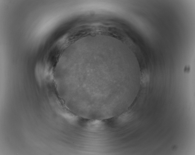 X0000112210431200908211523