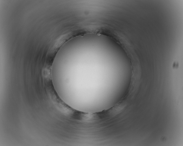 X0000112210432200908211523