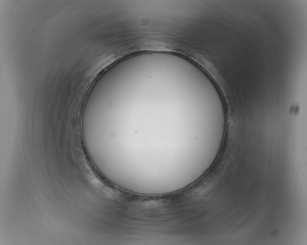 X0000112210433200908211522