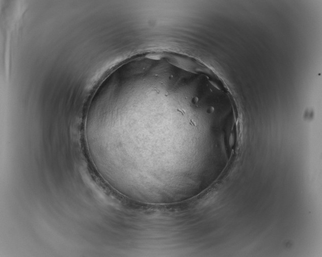 X0000112210434200908211522