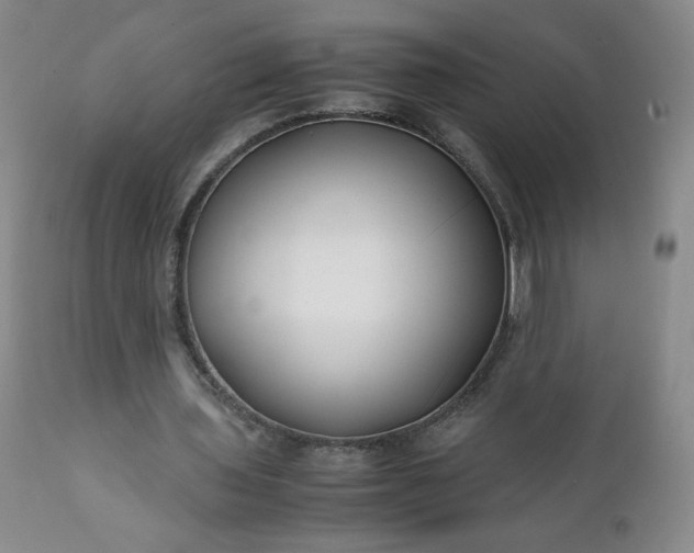 X0000112210435200908211522