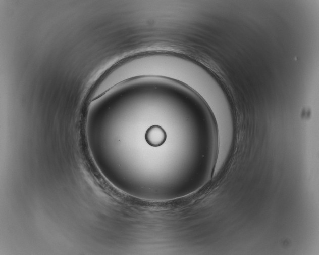 X0000112210436200908211522