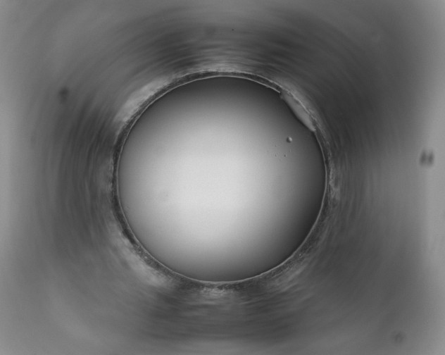 X0000112210437200908211522