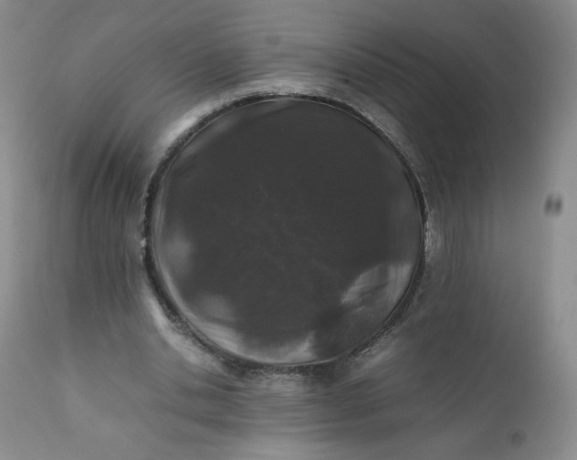 X0000112210438200908211522