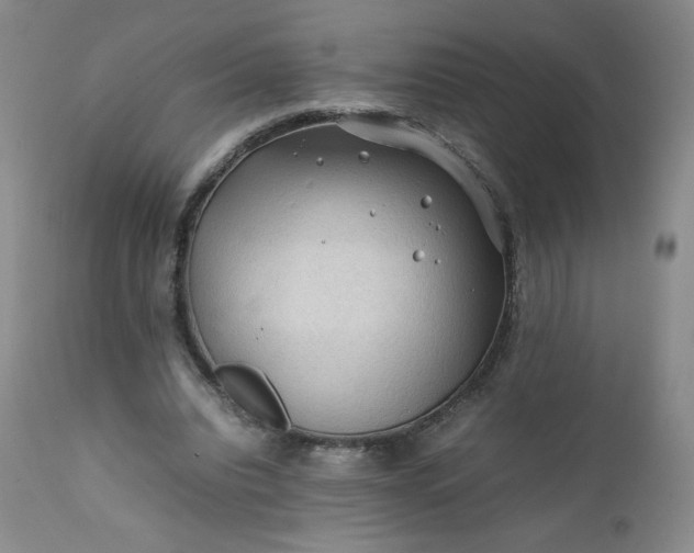 X0000112210440200908211522