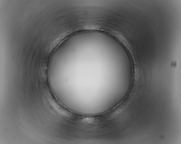 X0000112210441200908211522