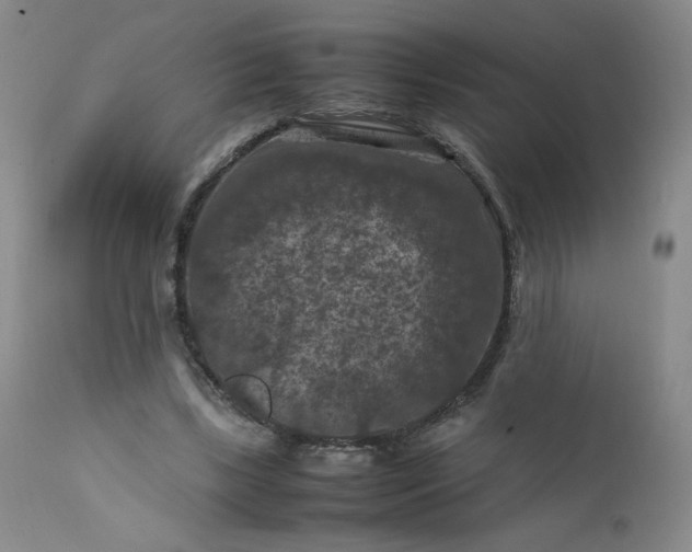 X0000112210443200908211522