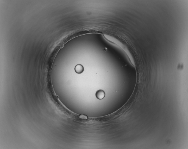 X0000112210444200908211522