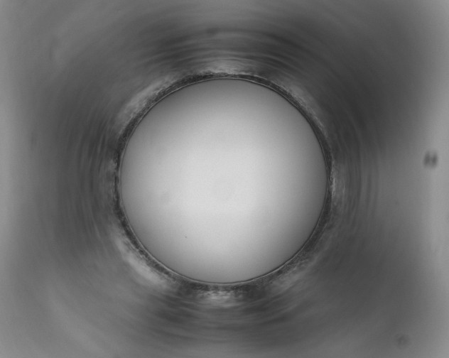 X0000112210445200908211522