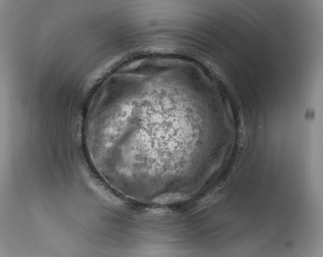 X0000112210446200908211522