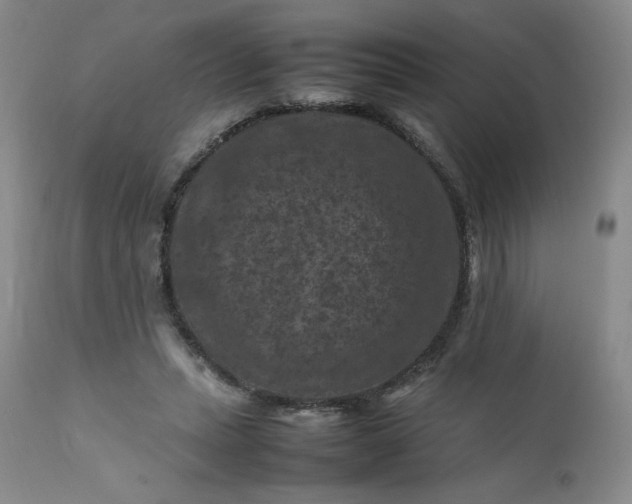 X0000112210447200908211522