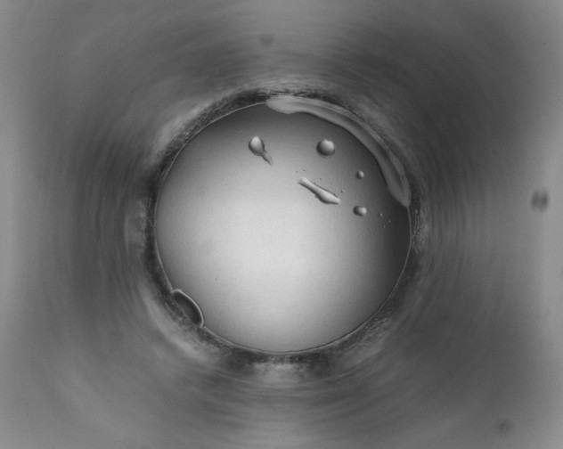 X0000112210448200908211522