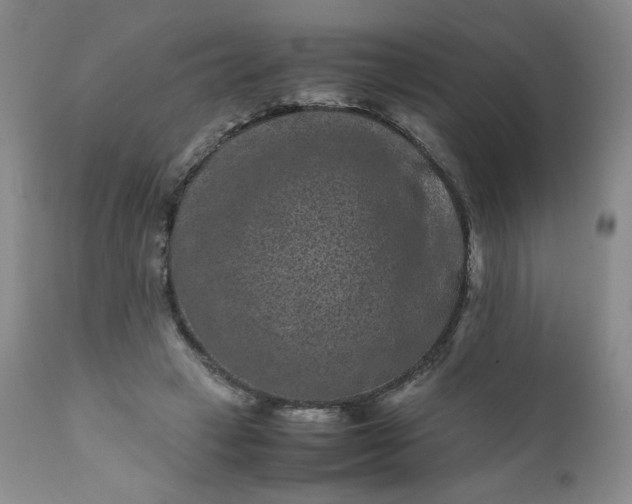 X0000112210449200908211522