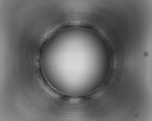 X0000112210450200908211522