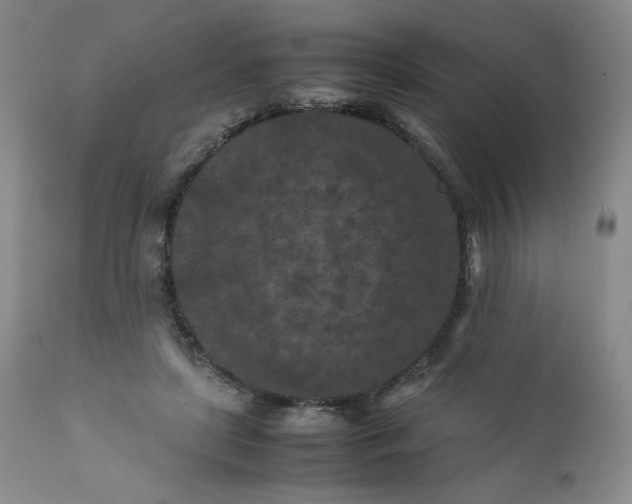 X0000112210451200908211522