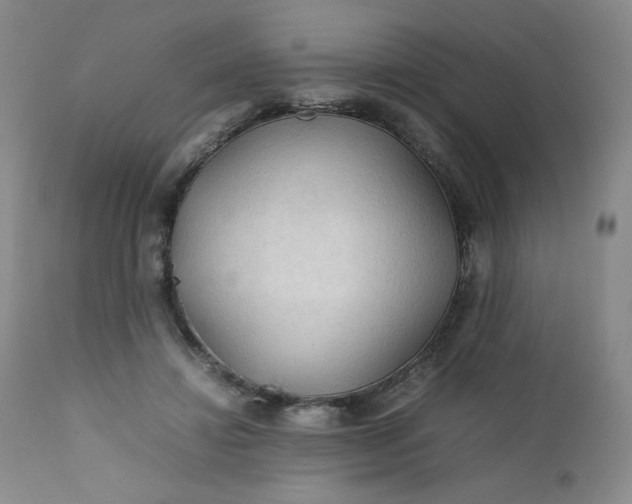 X0000112210452200908211522