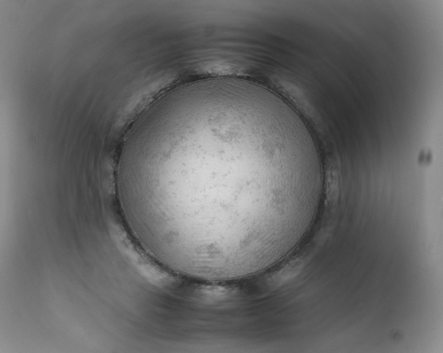 X0000112210453200908211522