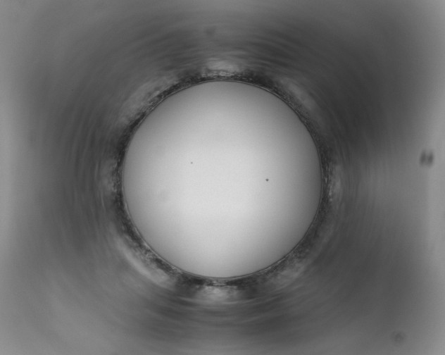 X0000112210455200908211522