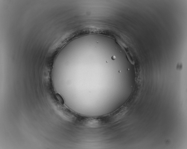 X0000112210456200908211522