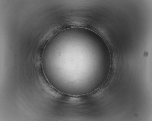 X0000112210457200908211522