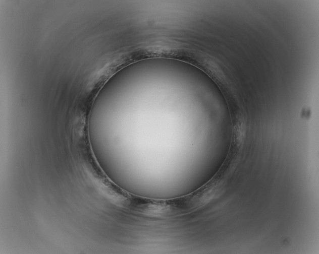 X0000112210458200908211522