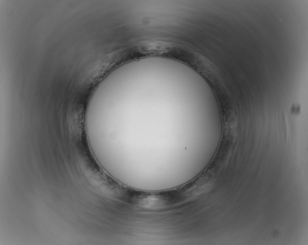 X0000112210460200908211522