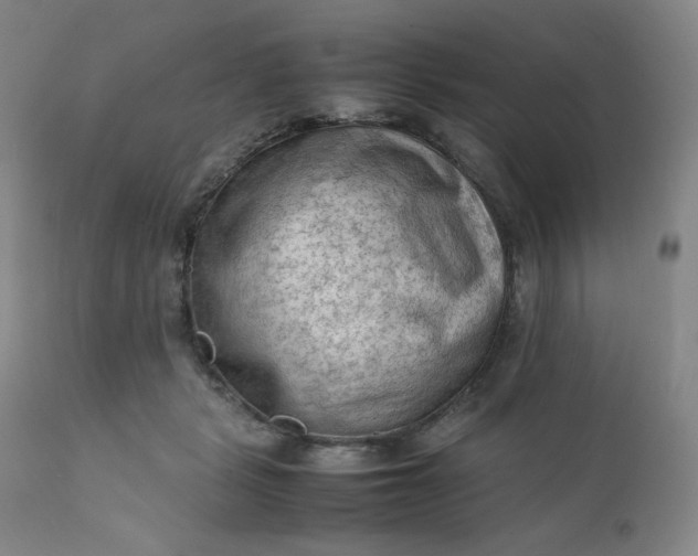 X0000112210461200908211522